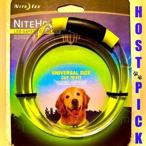 🆕LED Pet Safety Glow in the Dark Necklace in neon green